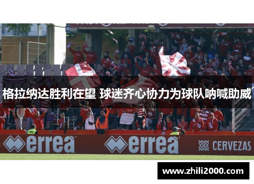 格拉纳达胜利在望 球迷齐心协力为球队呐喊助威