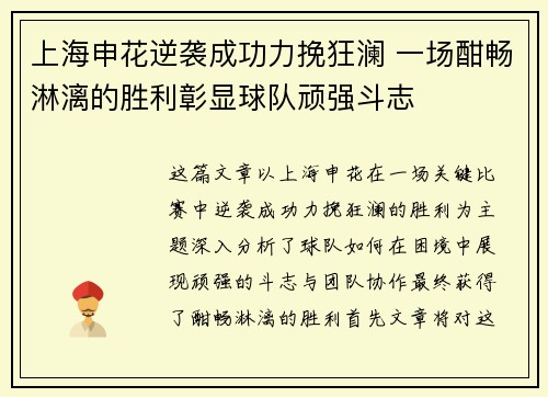上海申花逆袭成功力挽狂澜 一场酣畅淋漓的胜利彰显球队顽强斗志