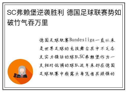 SC弗赖堡逆袭胜利 德国足球联赛势如破竹气吞万里